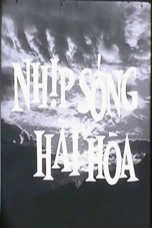 Nhịp Sống Hài Hòa