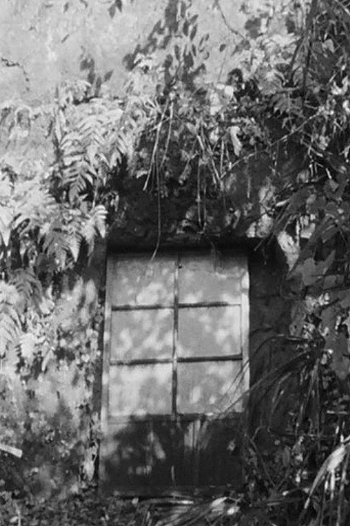 MY SHELTER