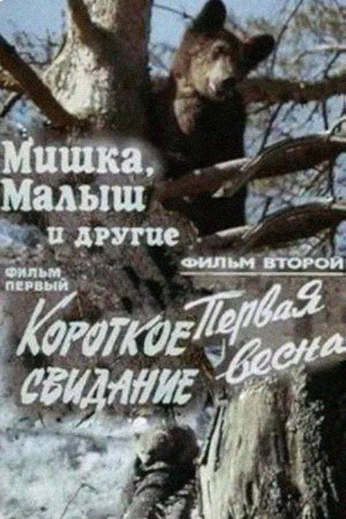 Мишка, Малыш и другие