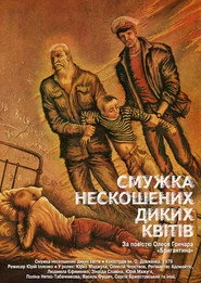 Смужка нескошених диких квітів