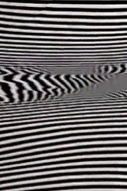 Black/White/Text