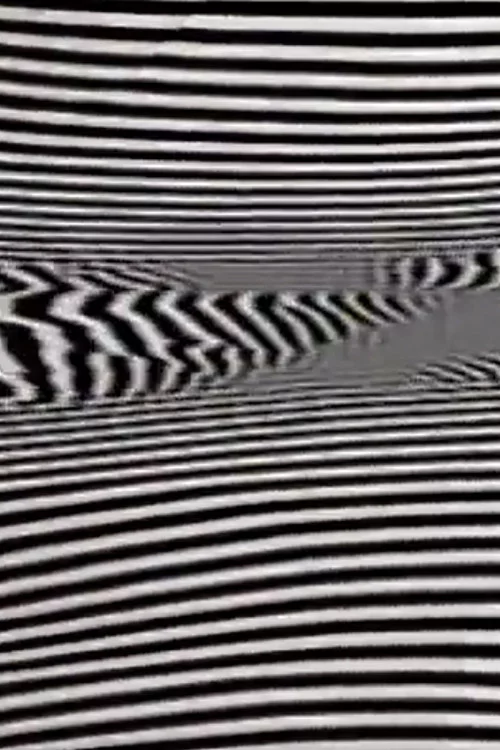 Black/White/Text
