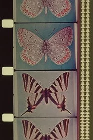 Triptych