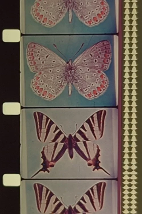 Triptych