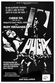 Puga
