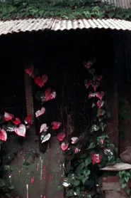 Shelter