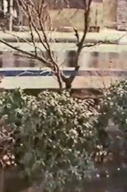 Like A Passing Train 2
