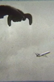 Flying