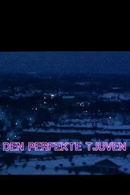 Den perfekte tjuven