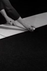 Proportions