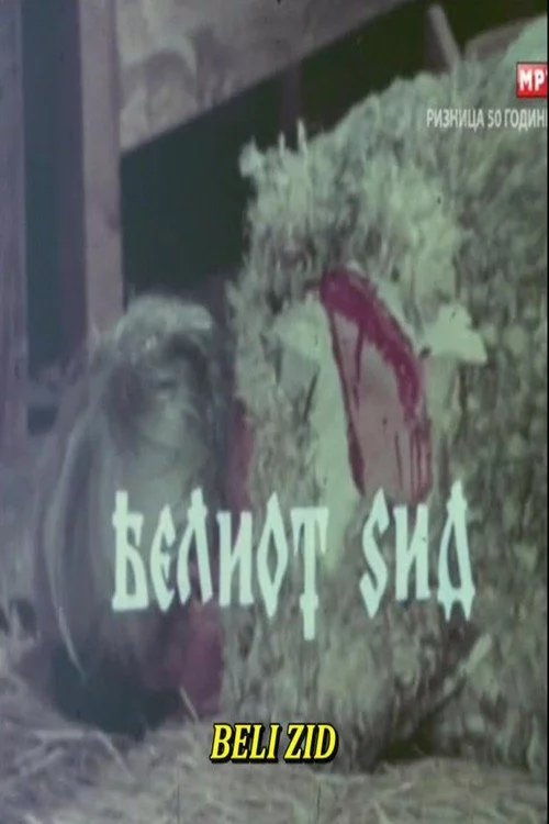 Белиот ѕид
