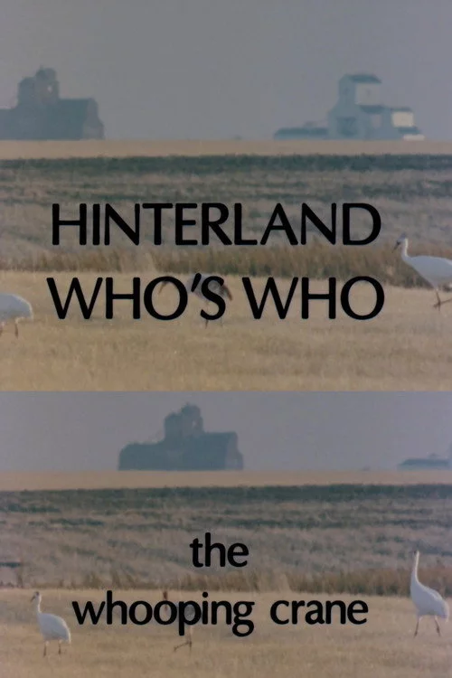 Hinterland Who's Who: Whooping Crane