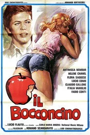 Il bocconcino