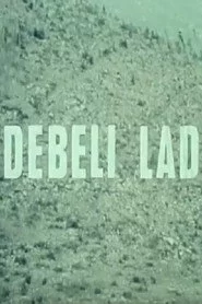 Debeli lad