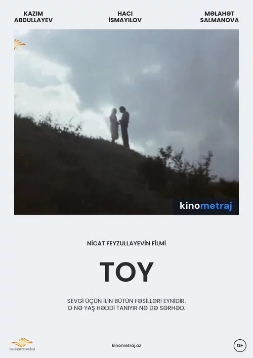 Toy