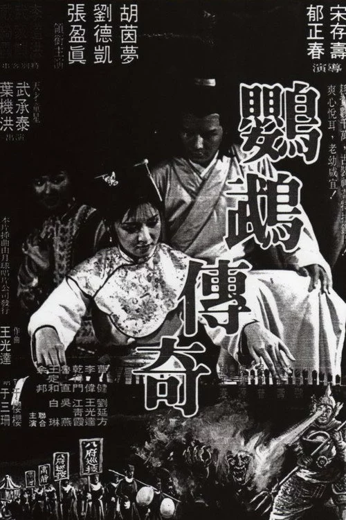 鸚鵡傳奇