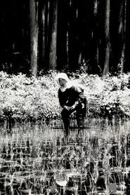 The Japanese Part 3: Farm Song