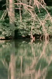Porter Springs 3