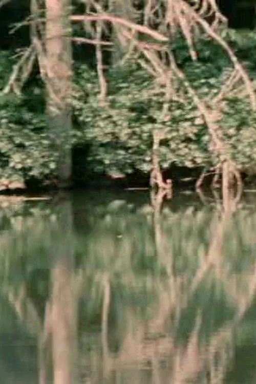 Porter Springs 3