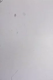 One Frame Duration