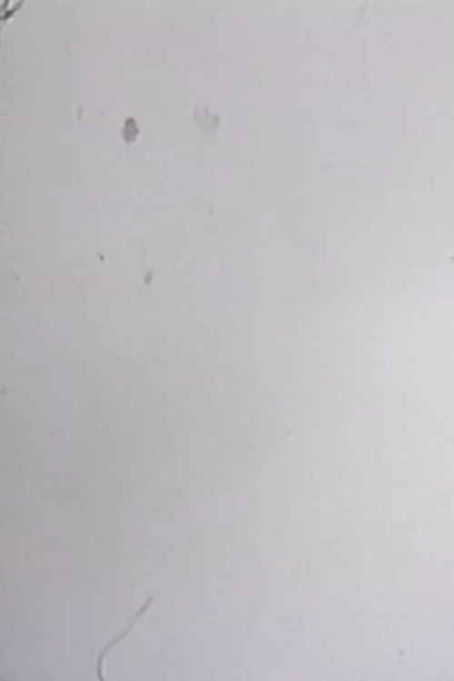 One Frame Duration