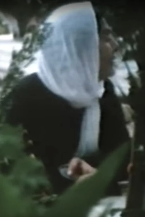 اغتيال مدينة