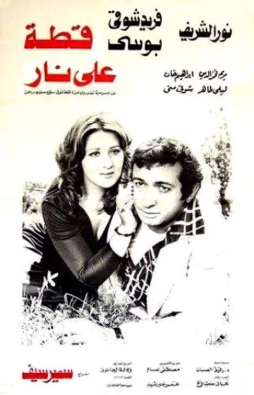 قطة على نار