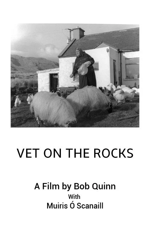 Vet On The Rocks