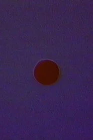 Dawn Creation