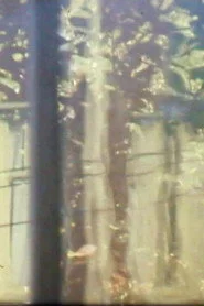 Windchimes, Window, Tree