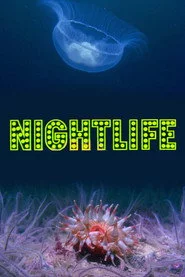 Nightlife