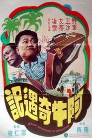 阿牛奇遇記