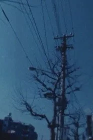 景色を過ぎて
