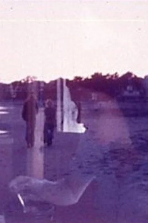 Superimposition