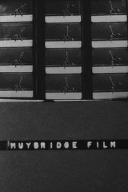 Muybridge Film