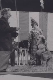 Circus