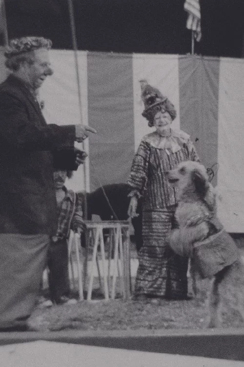 Circus