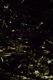 Short Films 1975: #9 (Forest Love Scene)
