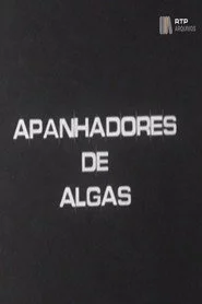 Apanhadores de Algas