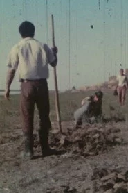 رود زهر