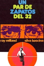 Un par de zapatos del 32