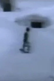فاخته