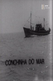 Conchinha do Mar