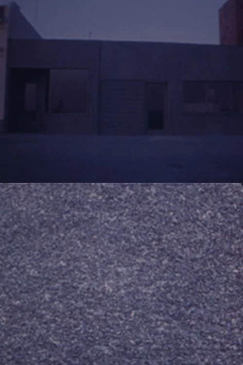 Michael Brod's Whoever — In Transit