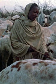 Boran Herdsmen