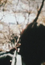 杖
