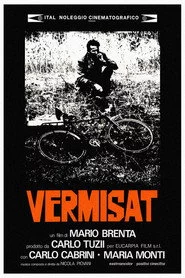 Vermisat