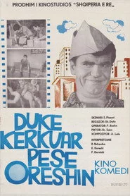 Duke Kërkuar 5-Orëshin