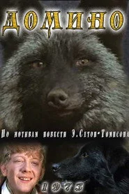 Доміно