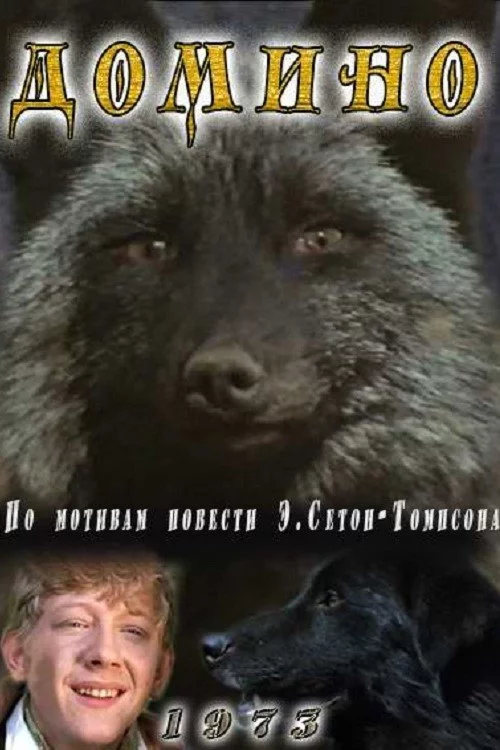 Доміно